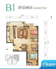 远洋新悦B1户型 2室2厅1卫1厨面积:89.00平米