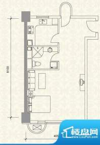 世纪星城长城国际A户型 1室1厅面积:48.03平米