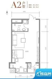 戛纳35号A2户型图 1室1厅1卫1厨面积:55.23平米