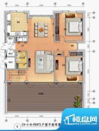 阳光上东C9-5-H-PENT1户型 