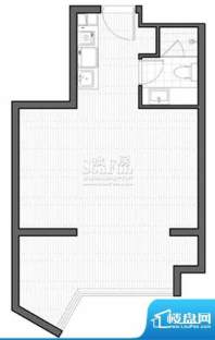 智地·钻河公馆C1户型 1室1厅1