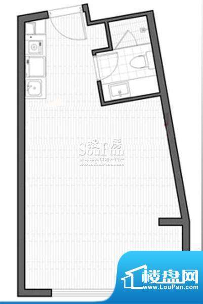 智地·钻河公馆E2户型 1室1厅1