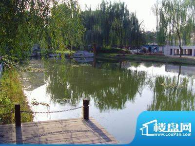 北京玫瑰园小公园