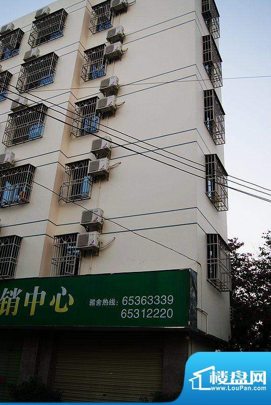 清青雅舍小区楼宇实景图（20101230）