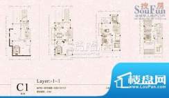 众安绿色港湾C1户型 面积:219.00平米