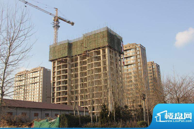 唐宁府二期高层施工实景图（20120111）