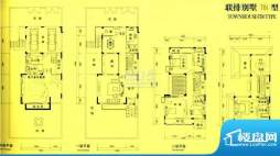 誉景名居联排别墅TB1型 5室2厅面积:385.39平米