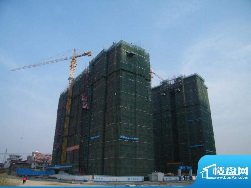龙泉豪苑19-22栋工程进度（2010-11-03）