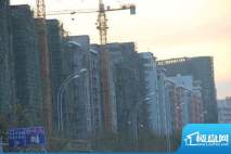 领秀华城施工实景图（20111202）