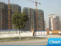 汉城国际三期16#、14#楼工程进度图（20