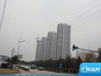 黄浦城市花园工程进度实景图（2012.02）