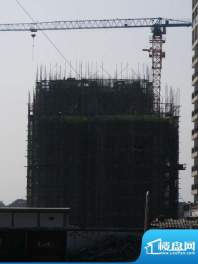 碧园印象桂林74#楼工程进度图（2012.11