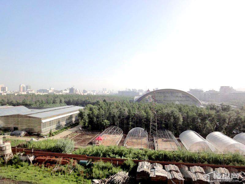 黑龙江现代文化艺术产业园林业大学实验基地（2012-04-26）