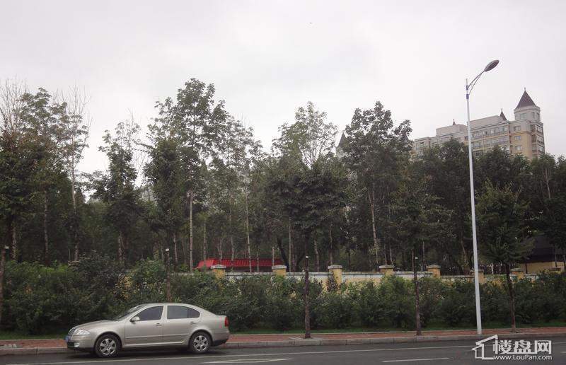 天悦项目周边绿化实景图（2012-09-04）