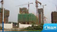 龙东香珀实景图全楼栋工程进度（2012-1