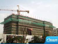 绿城玉兰广场实景图工程3#楼（20121024
