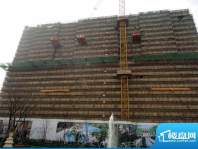 绿城玉兰广场实景图工程1#楼（20121024
