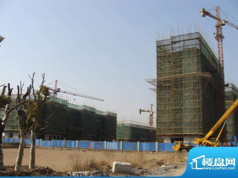 天安尚城实景图工程进度（2011-2-15）