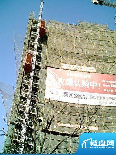 吟枫苑实景图工程进度2009.2.24