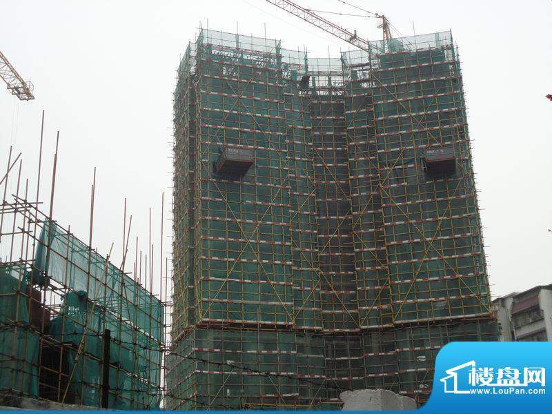 嘉峰汇洋房施工进度实景图（2011-11）