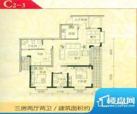 经典双城户型图c2-3 3室2厅2卫面积:116.61平米