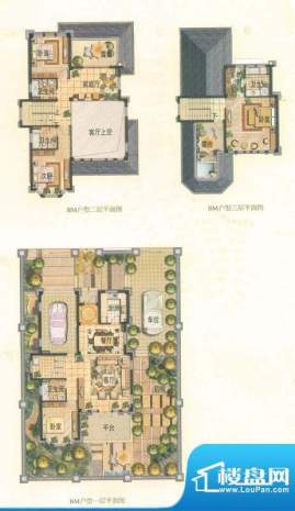 温泉山谷户型图BM 4室3厅4卫1厨面积:246.00平米