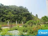 华茵·绿洲小区一期园林实景图（201209