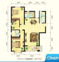 新元绿洲户型图3号楼C-4-1户型面积:123.77平米