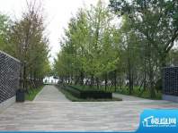 万科青山湖实景图园林（2010-07）