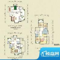 保利国际高尔夫花园户型图弗朗面积:313.00平米