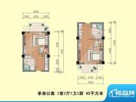 乾茂宫园户型图单身公寓 45平方面积:45.00平米