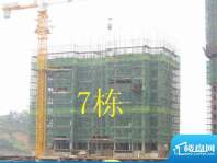魏源·佘湖一品7栋建至8层(2012-5-30)