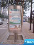 金桥水岸交通图公交站牌