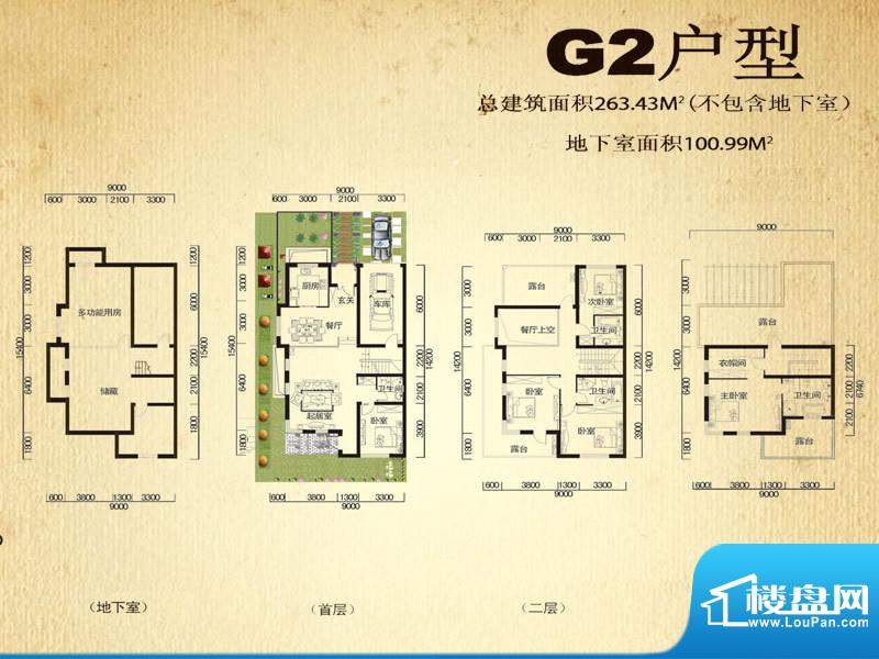 中堂户型图G2户型 5室4厅4卫1厨面积:263.43平米