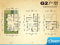中堂户型图G2户型 5室2厅4卫1厨面积:263.43平米