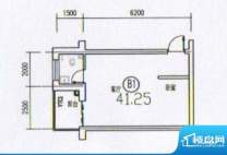 清凉盛景户型图户型B1 1室1厅1面积:41.25平米