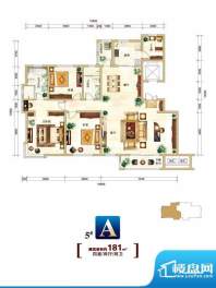 新华锦爱丁堡户型图5#楼A户型 面积:181.00平米