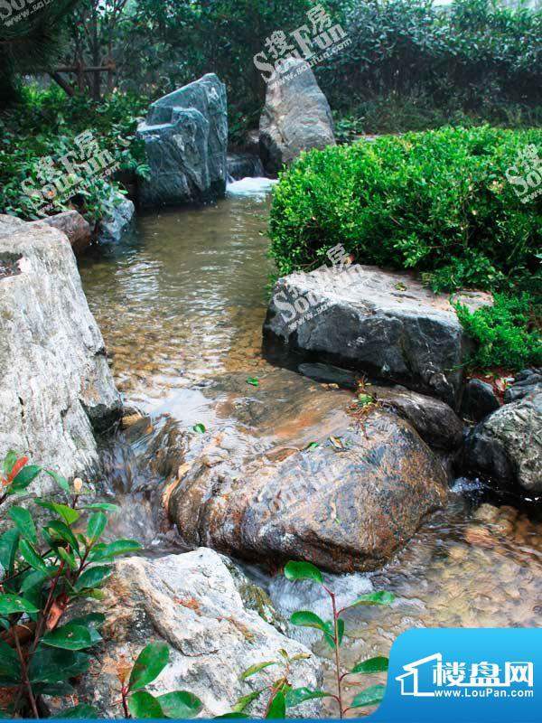 海信天玺实景图景观示范区（20110709）