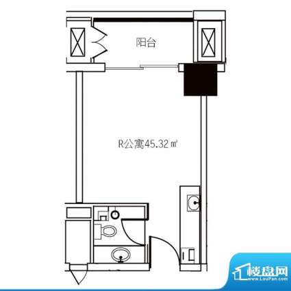 华域城户型图5号楼 R公寓 1室1面积:45.32平米