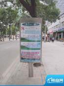 启城交通图公交站牌