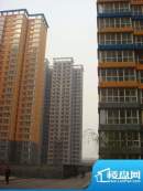 龙洲新城实景图工程进度图（2012-11）