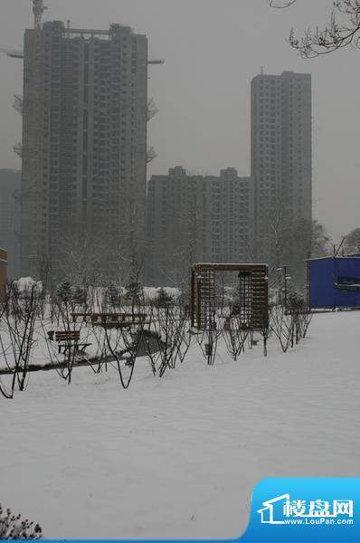 荣盛阿尔卡迪亚外景图2.20雪后的阿卡