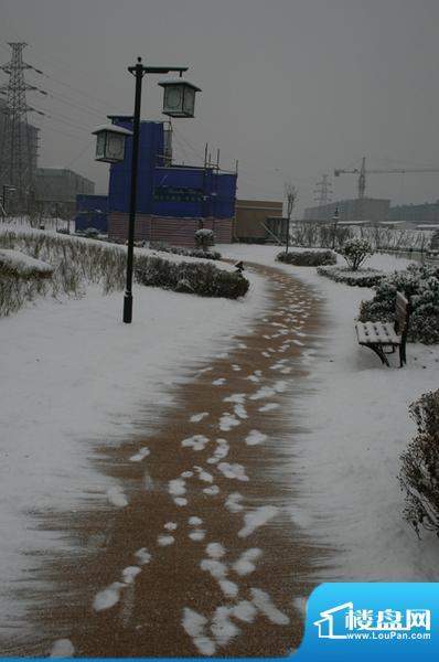 荣盛阿尔卡迪亚外景图2.20雪后的阿卡