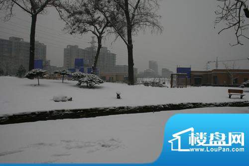 荣盛阿尔卡迪亚外景图2.20雪后的阿卡