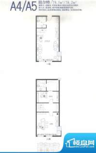 金正缔景城户型图A4/A5凯尔特户面积:79.50平米