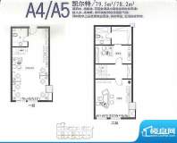 金正缔景城户型图A4-A5户型79.面积:78.20平米