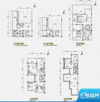 海逸雍雅堡户型图B户型 面积:236.00平米