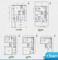 海逸雍雅堡户型图D户型 面积:432.00平米