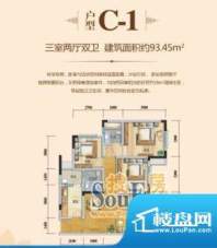 金阳·荷兰映像C1三面积:93.45m平米