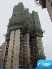 龙山观邸实景图10号楼工程进度(2011.5)